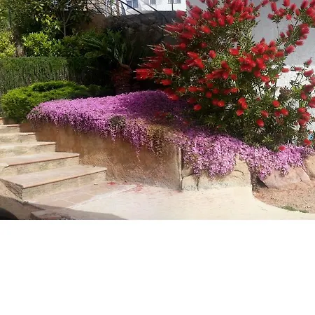 Apartamento Oasis Apartment Lloret de Mar