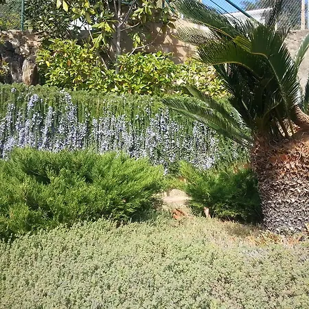 Apartamento Oasis Apartment *